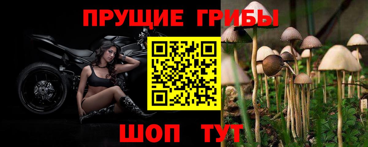 Галлюциногенные грибы ЛСД  Галлюциногенные грибы Cubensis  Вход с VPN  Братск 
