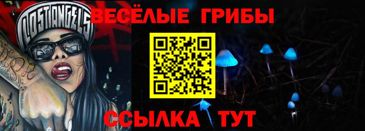 Псилоцибиновые грибы прущие грибы Братск